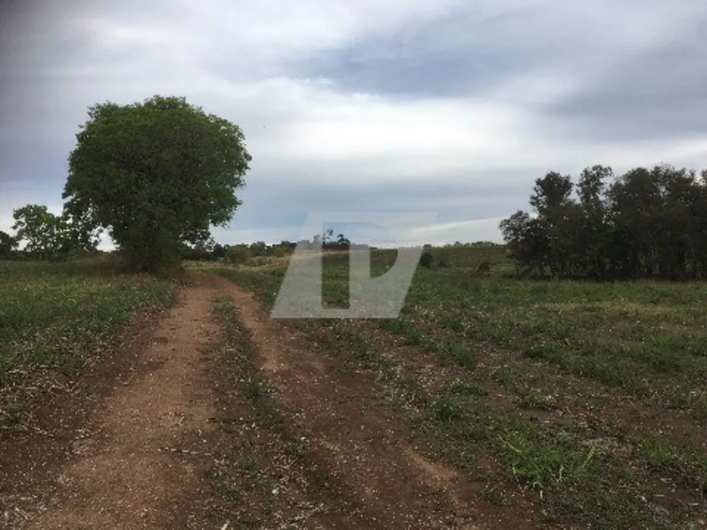 Terreno, 96800 m² - Foto 11