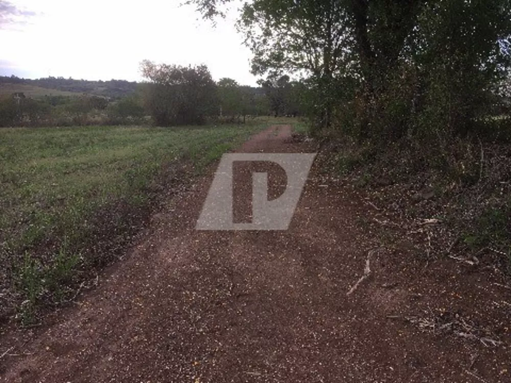 Terreno, 96800 m² - Foto 2