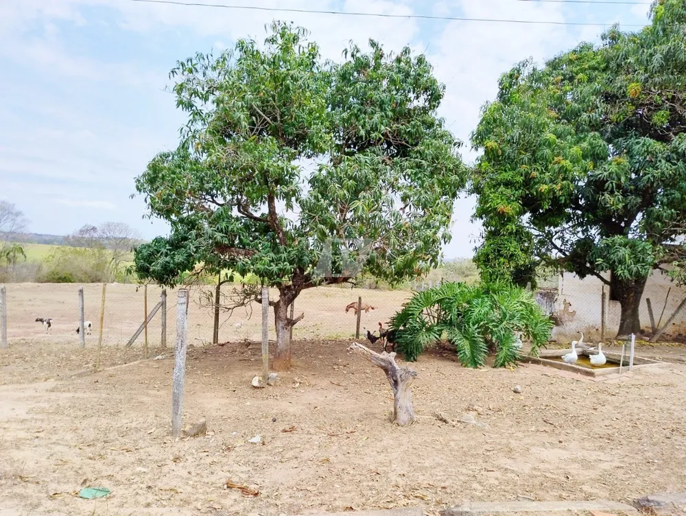 Terreno, 48000 m² - Foto 11