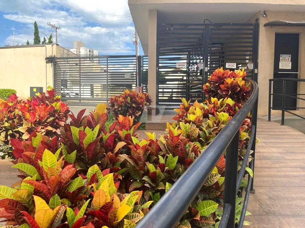 Apartamento, 3 quartos, 90 m² - Foto 1