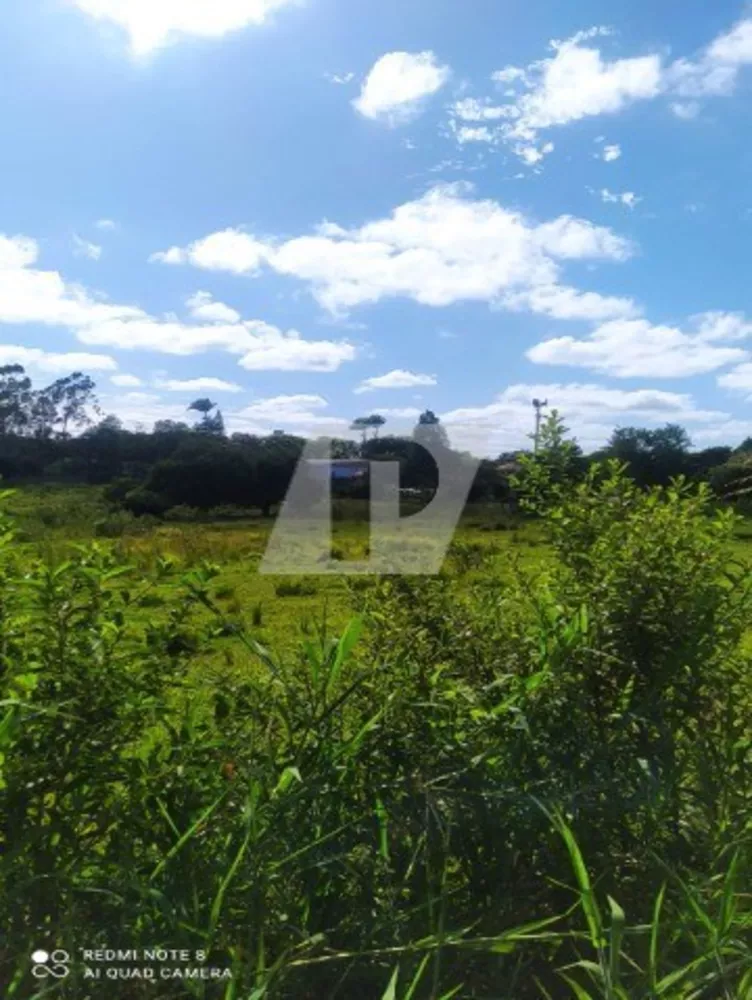 Terreno, 42000 m² - Foto 2