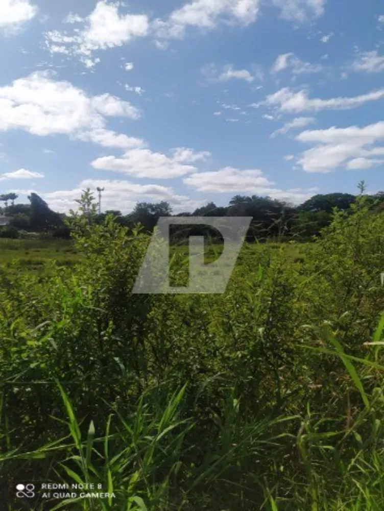Terreno, 42000 m² - Foto 1