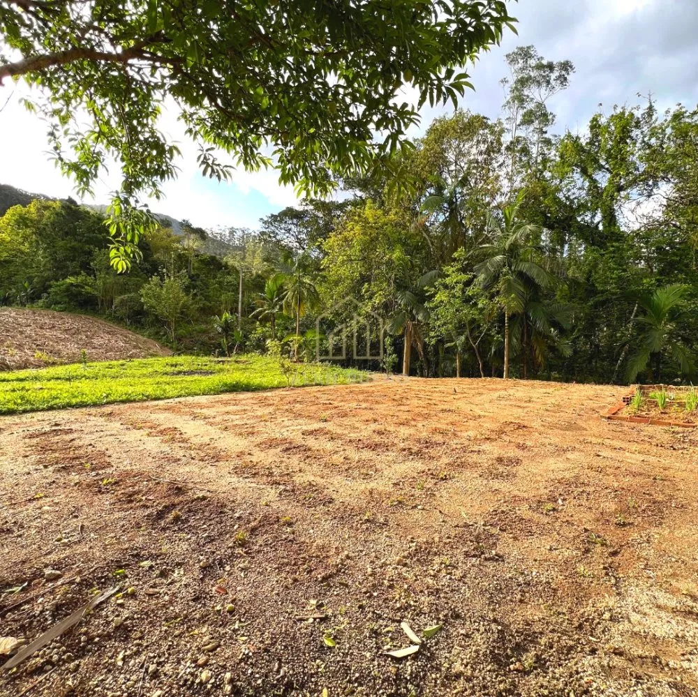 Fazenda à venda com 3 quartos, 4633m² - Foto 11