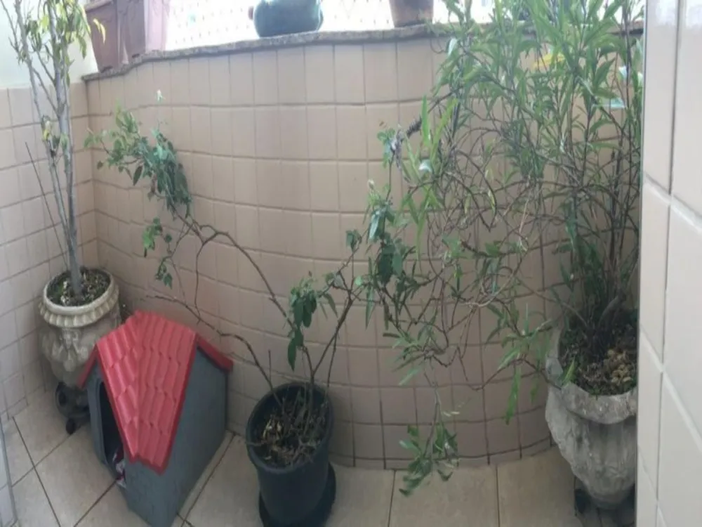 Apartamento, 3 quartos - Foto 14