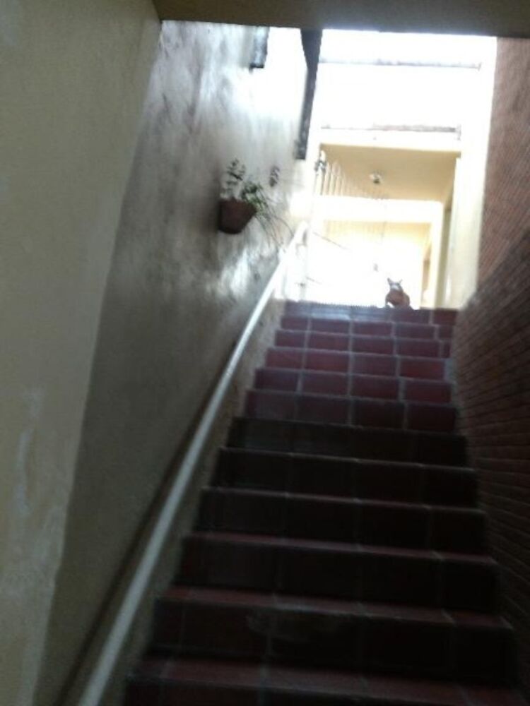 Sobrado, 3 quartos - Foto 16