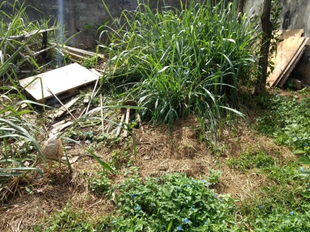 Casa, 2 quartos, 50 m² - Foto 5