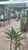 Apartamento, 1 quarto, 26 m² - Foto 4