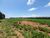 Terreno, 15 hectares - Foto 4
