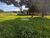 Terreno, 82 m² - Foto 4