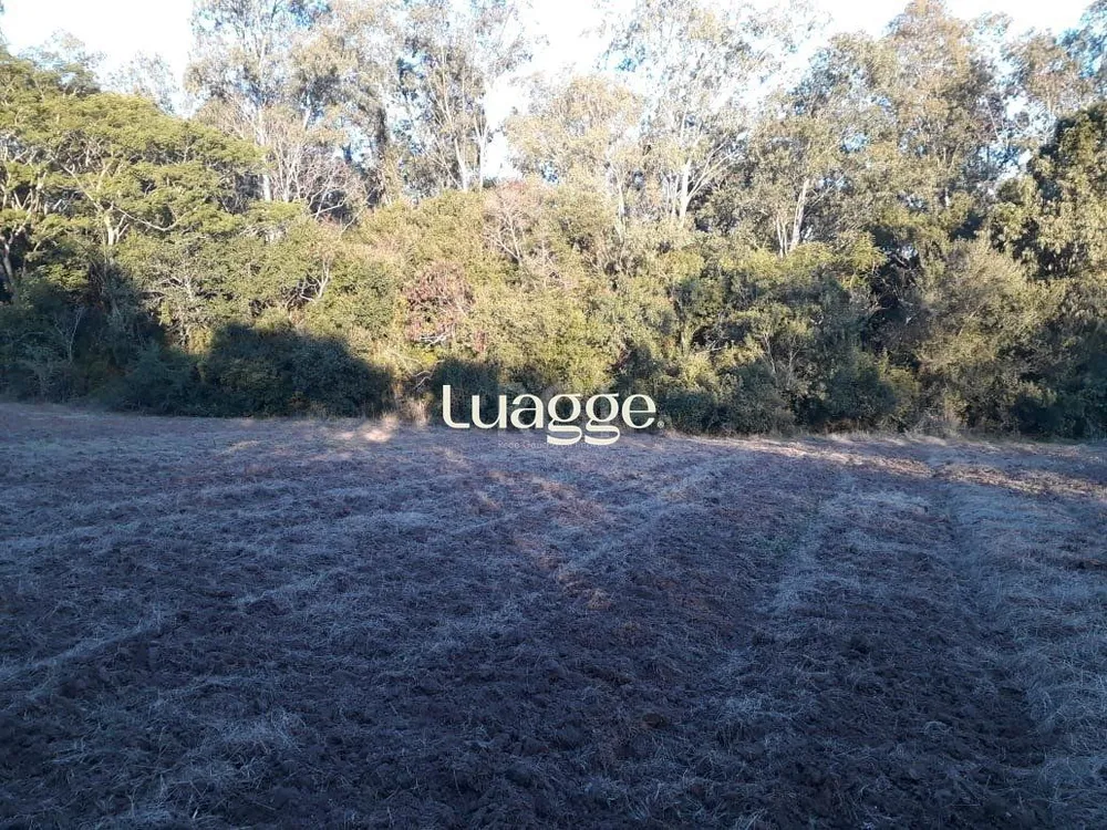 Sítio, 1 quarto, 11270 m² - Foto 1