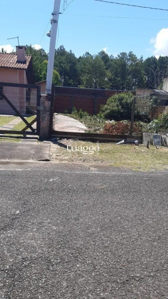 Apartamento, 4 quartos, 77 m² - Foto 2