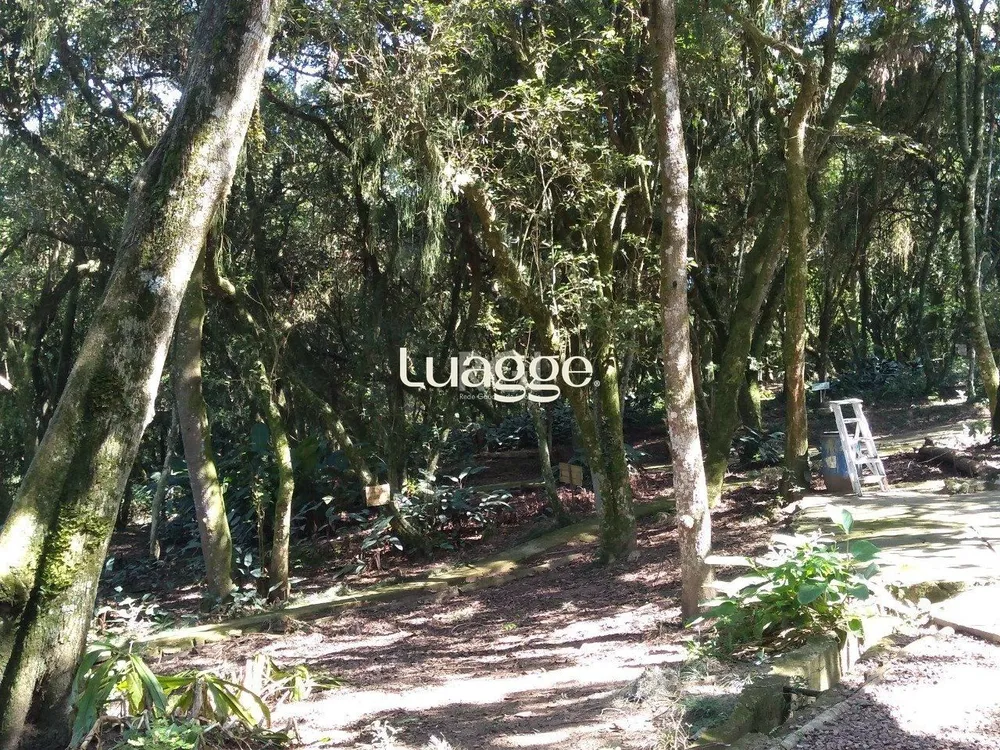 Apartamento, 1 quarto, 49 m² - Foto 2
