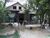 Casa, 3 quartos, 290 m² - Foto 12