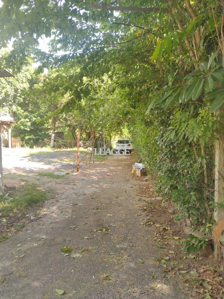 Cobertura, 3 quartos, 256 m² - Foto 3