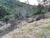 Terreno, 2313 m² - Foto 4