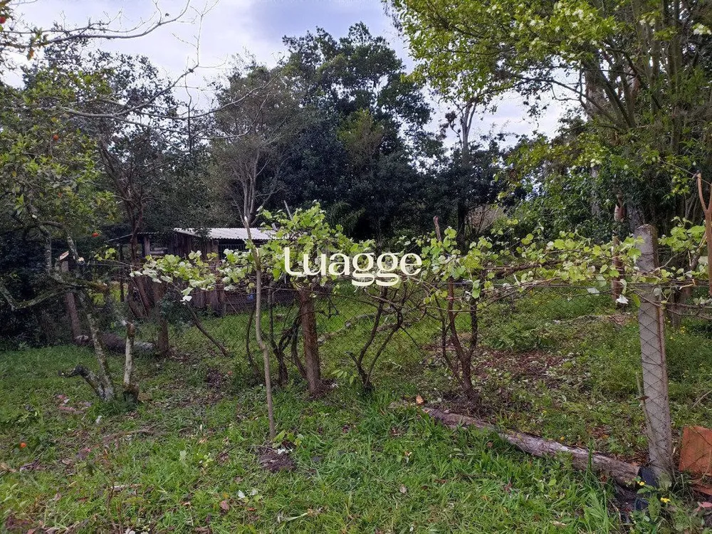Sítio, 1 quarto, 7 hectares - Foto 3