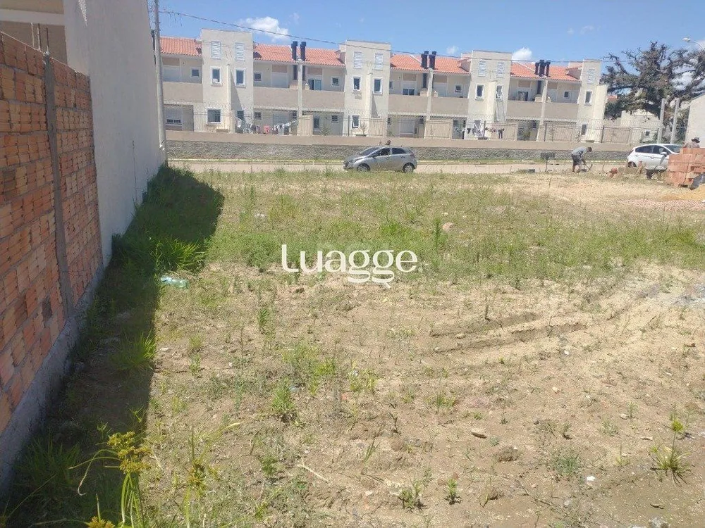 Casa, 2 quartos, 496 m² - Foto 2