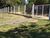 Sítio, 4 quartos, 10000 m² - Foto 4