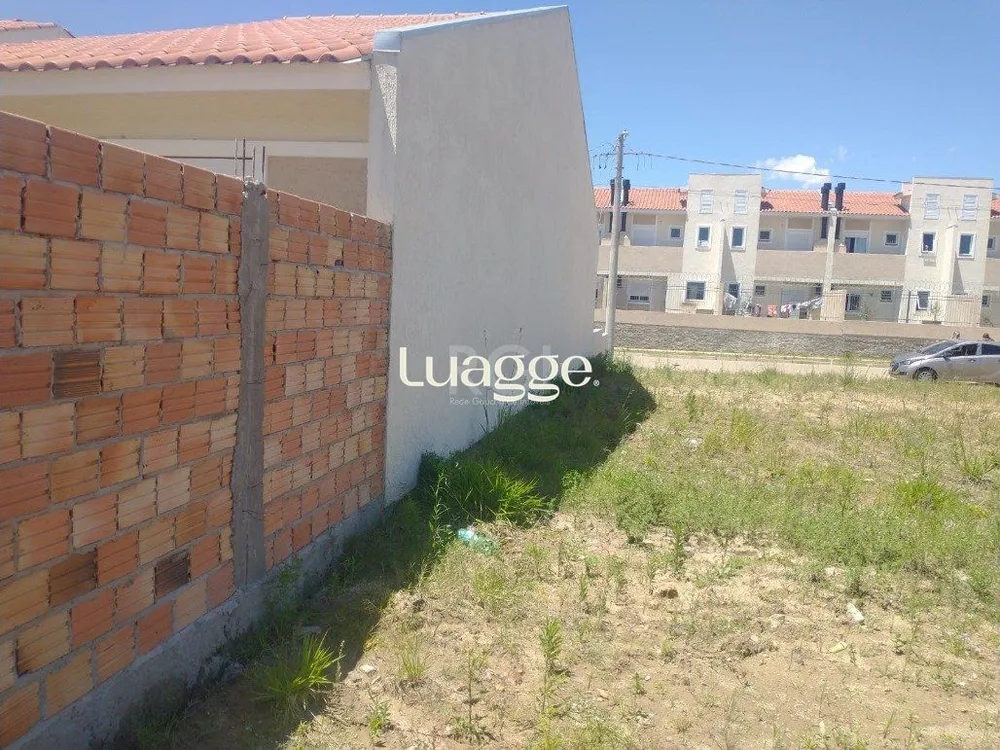 Terreno, 8866 m² - Foto 2