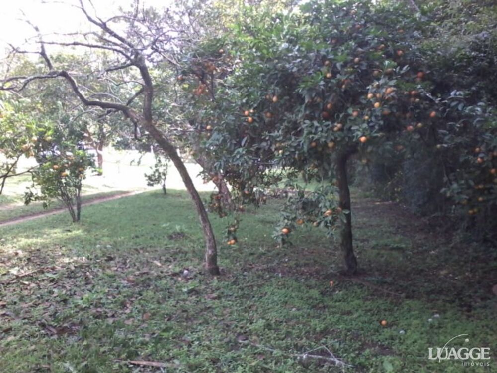 Terreno à venda, 2459m² - Foto 3