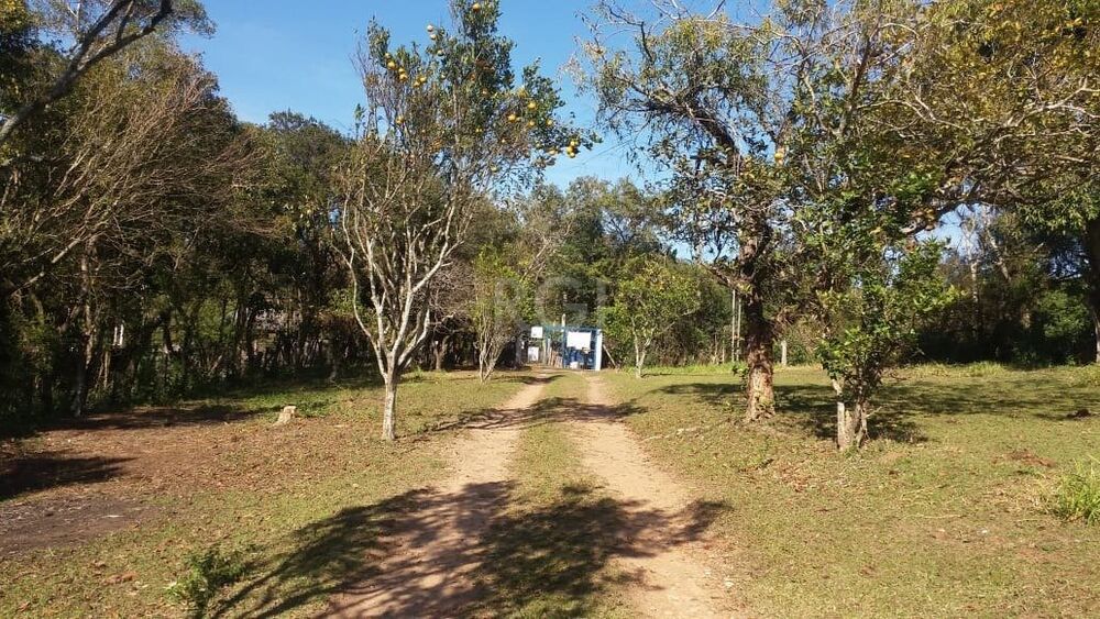Terreno à venda, 2459m² - Foto 8