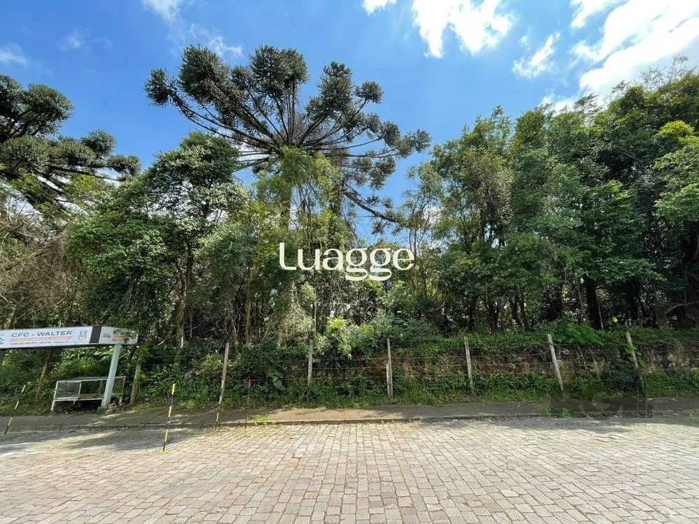 Terreno, 1 hectares - Foto 2