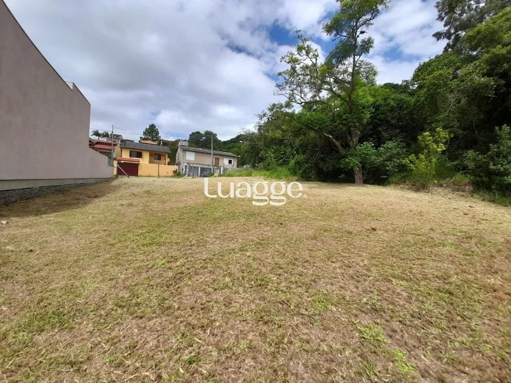 Terreno, 291 m² - Foto 3
