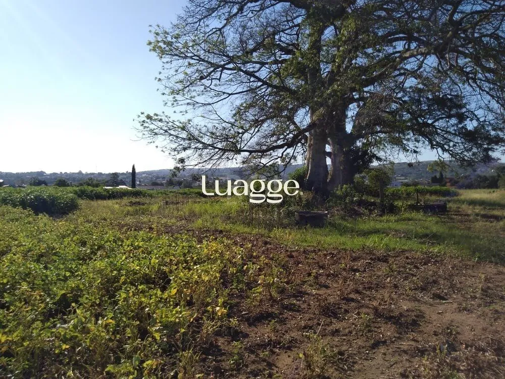 Terreno, 4 hectares - Foto 1