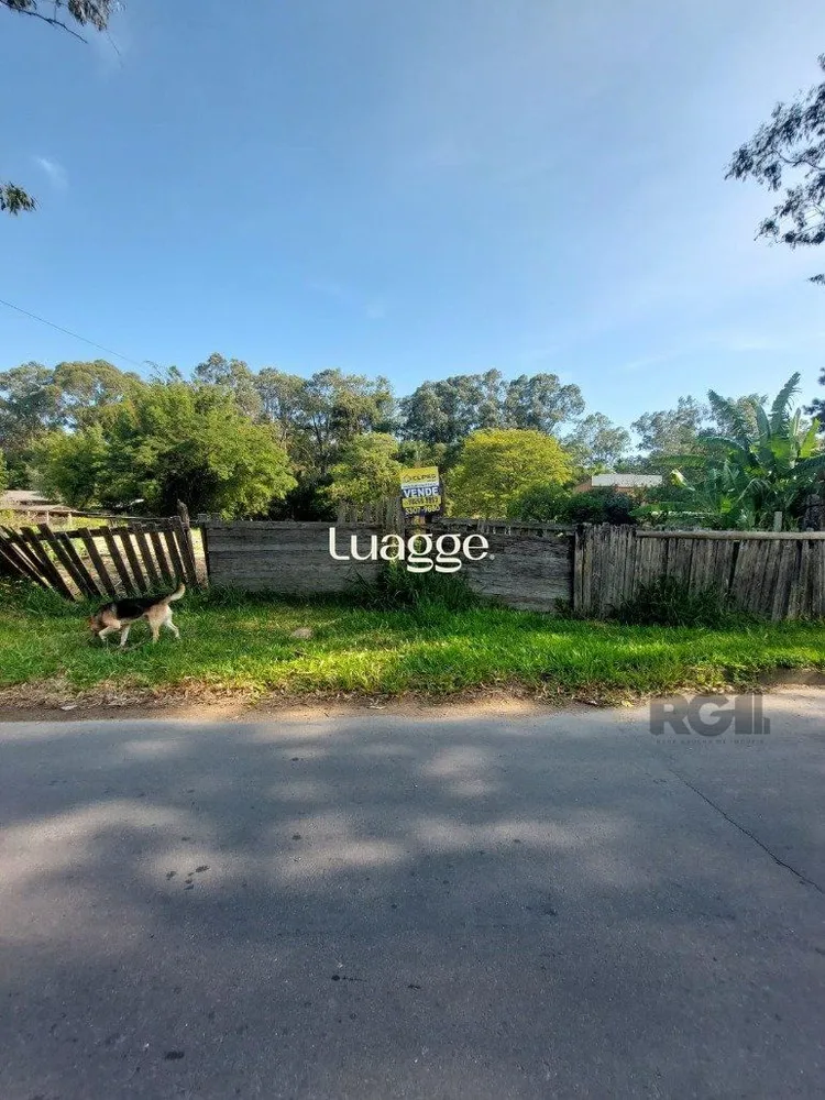Terreno, 301 m² - Foto 3