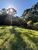 Terreno, 2 hectares - Foto 3