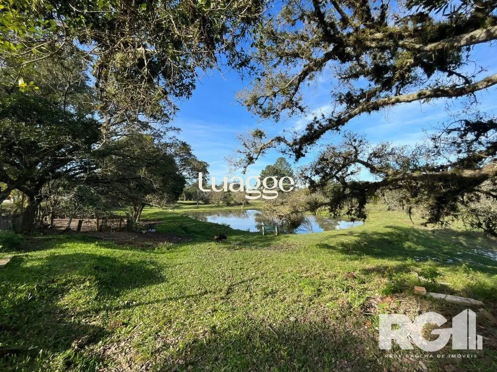 Sítio, 5 quartos, 145 m² - Foto 1
