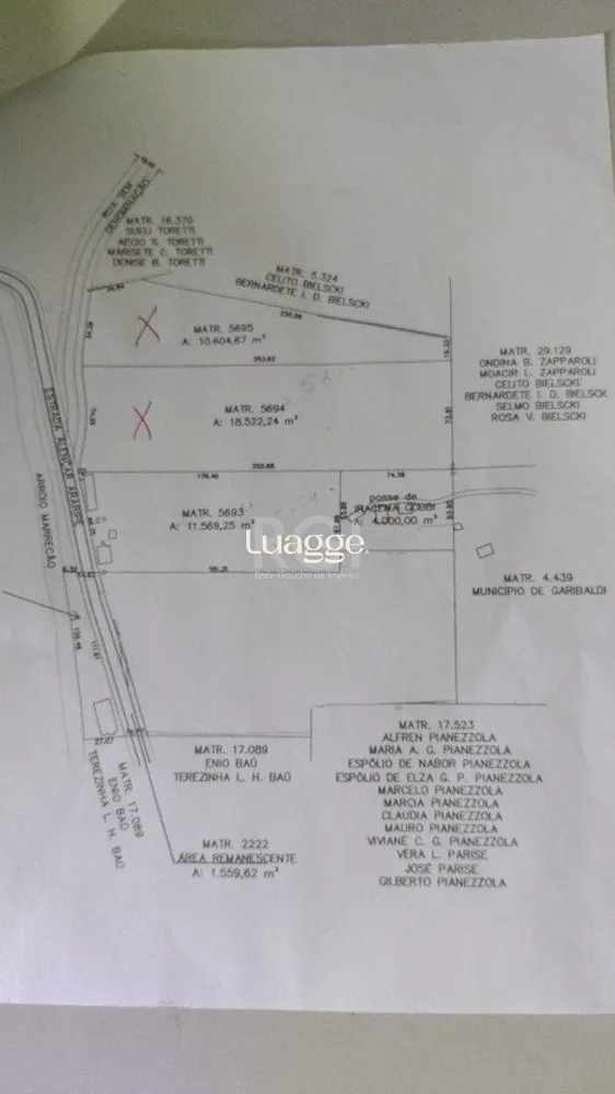 Terreno, 3 hectares - Foto 2