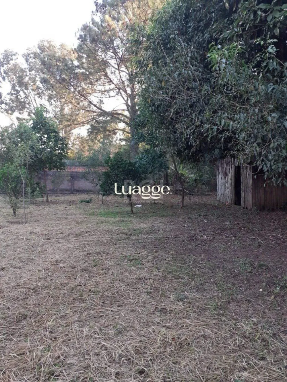 Apartamento, 3 quartos, 118 m² - Foto 1