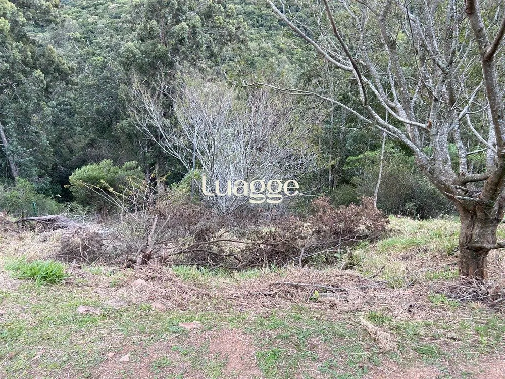 Terreno, 2314 m² - Foto 2