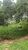 Terreno, 1001 m² - Foto 3