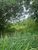 Terreno, 1001 m² - Foto 4