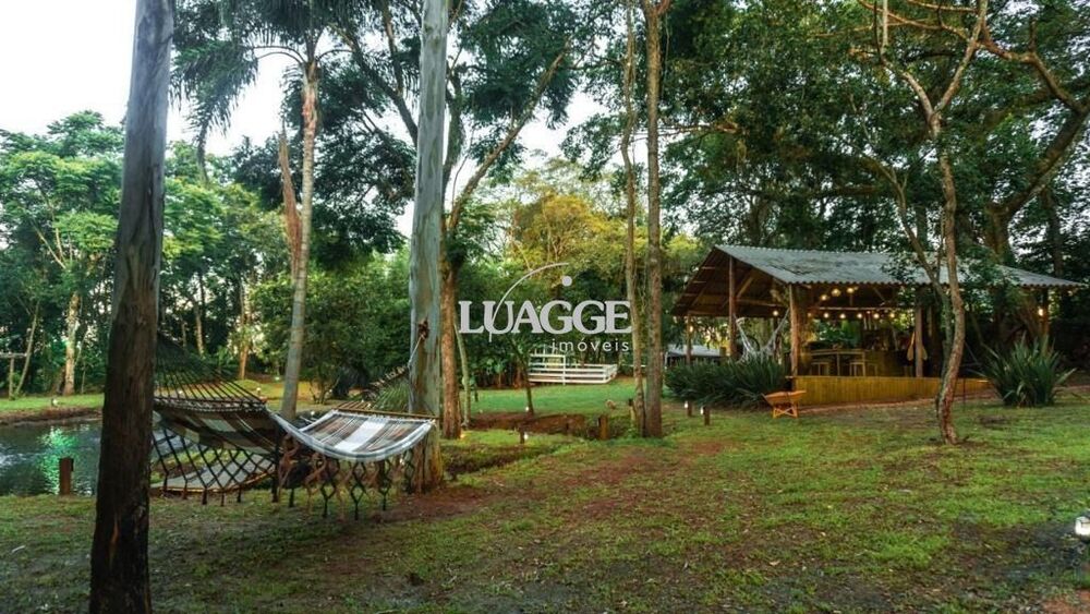 Sítio, 1 quarto, 301 m² - Foto 4