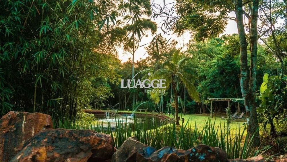 Sítio, 1 quarto, 301 m² - Foto 13