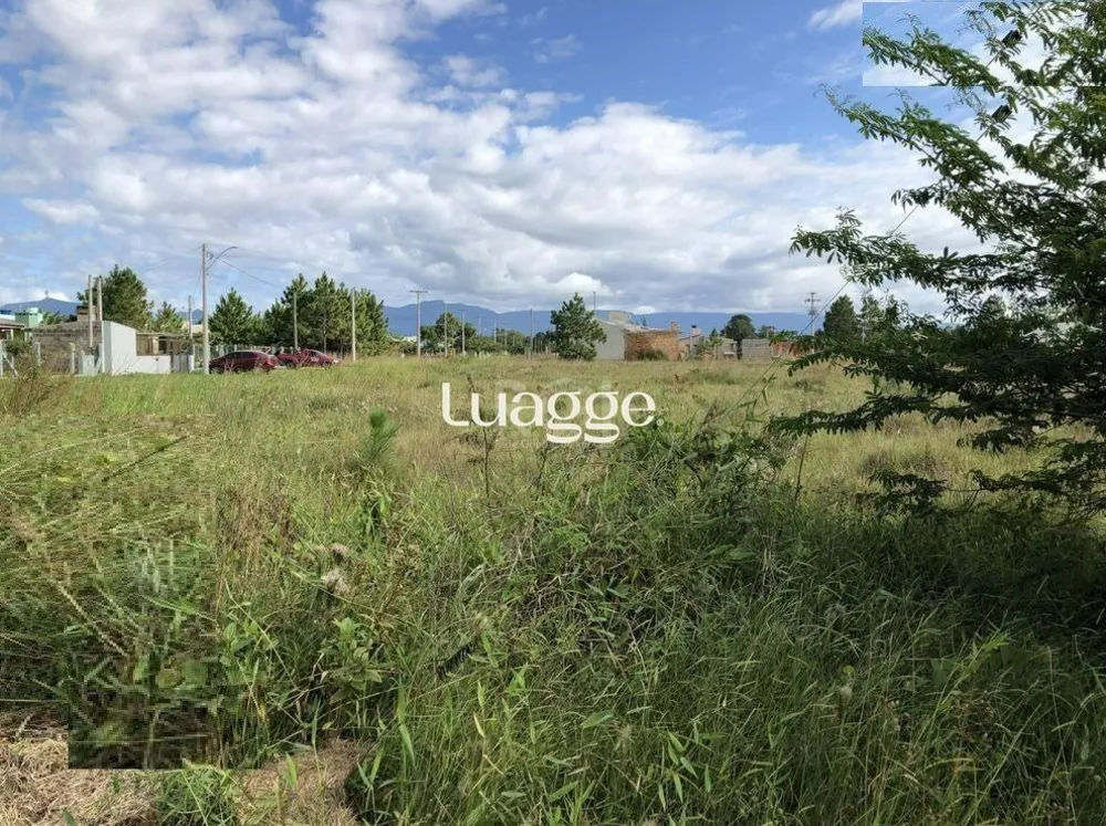 Casa, 4 quartos, 265 m² - Foto 1