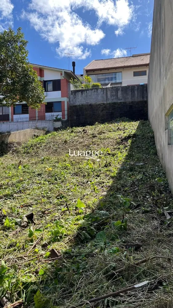 Terreno, 301 m² - Foto 1