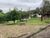 Chácara, 6 quartos, 3 hectares - Foto 4