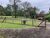 Chácara, 6 quartos, 3 hectares - Foto 1