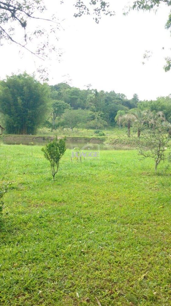 Sítio à venda com 1 quarto, 50000m² - Foto 3