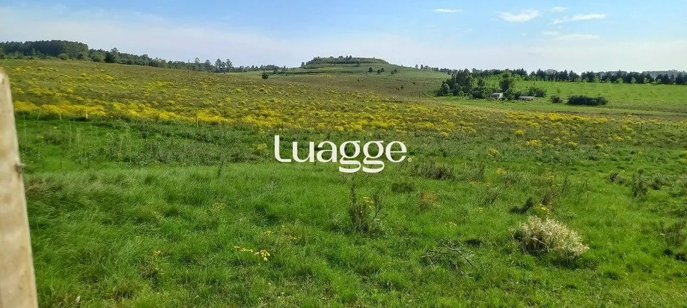 Terreno, 221 m² - Foto 1