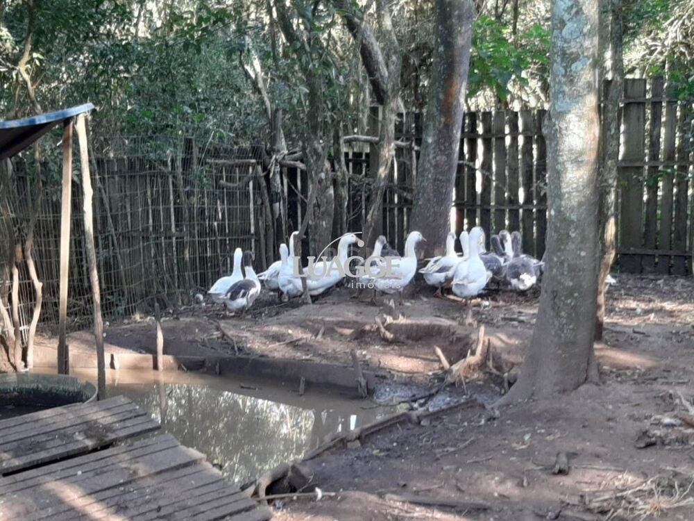 Chácara à venda com 2 quartos, 1802m² - Foto 1