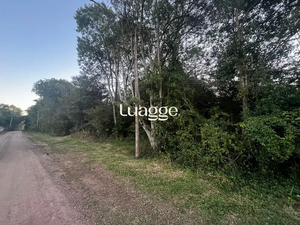 Terreno, 1 hectares - Foto 4
