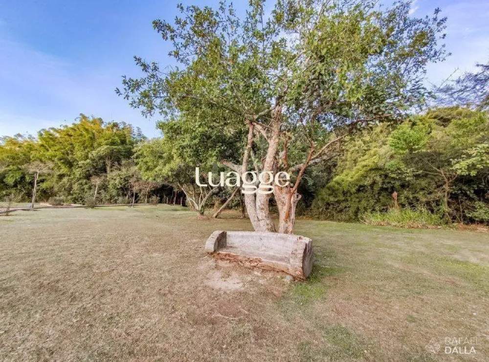 Terreno, 612 m² - Foto 4