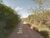 Terreno, 5000 m² - Foto 2