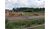 Terreno, 1999 m² - Foto 4