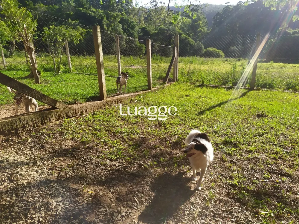 Fazenda - Foto 4